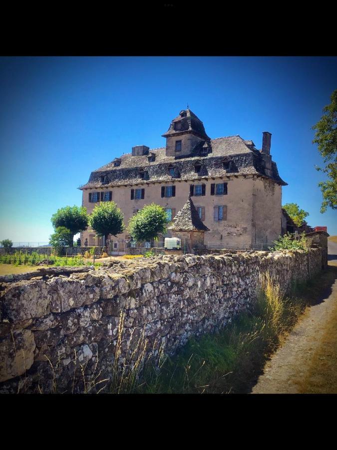 Chateau De Cours Sénezergues Kültér fotó